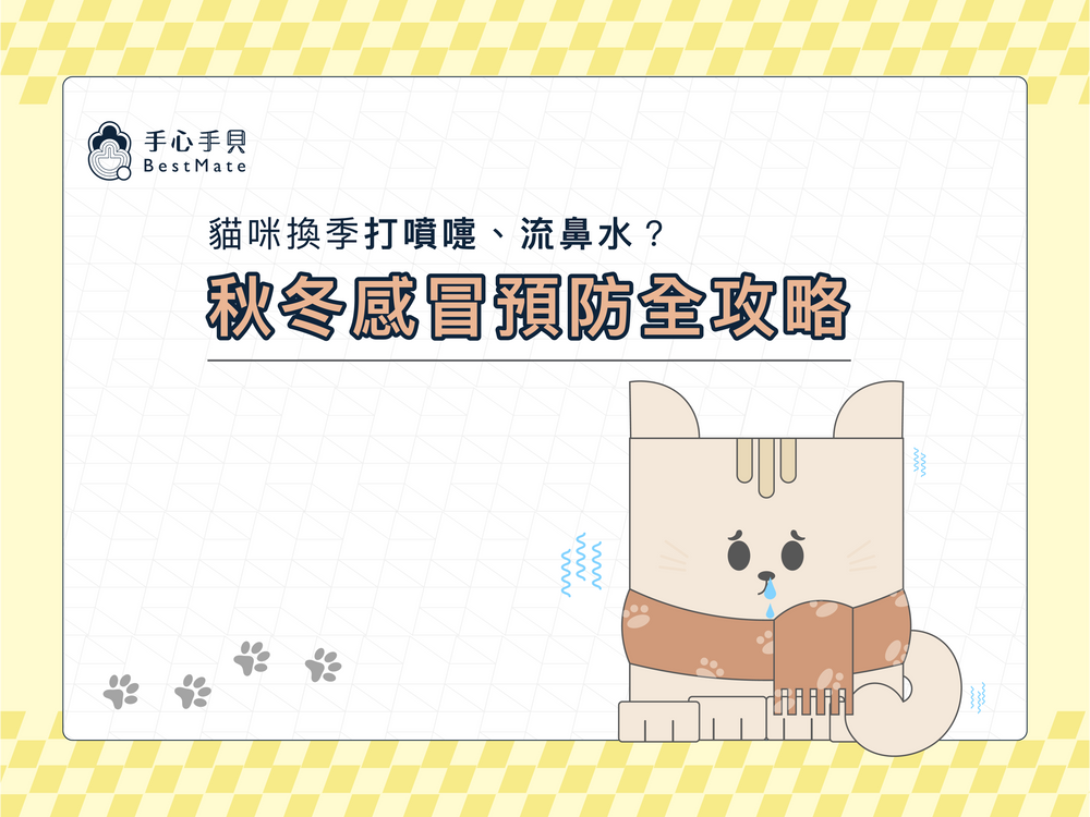 貓咪換季容易感冒？6大方法維持毛孩抵抗力！