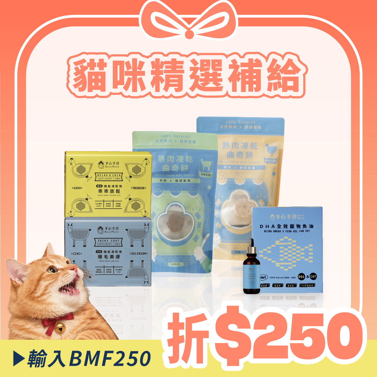 🔥【精選搭配】❰ 貓cat ❱ ｜日常補給